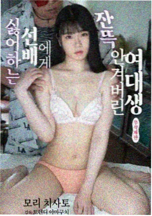 中文免费在线观看电视剧 迷雾重重